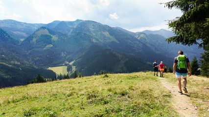 Fototapeta na wymiar Gruppe beim Wandern auf der Alm, Bergsteigen, Familie