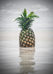 Exotic tropical fresh pineapple. Water reflection on the beach