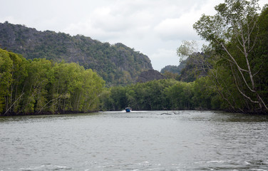 Kilim Geoforest Park, Langkawi, Malaysia