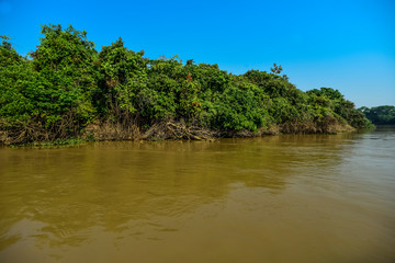 River landscape  and jungle,Pantanal, Brazil