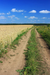 Ground country empty road in the field