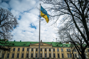 Fototapeta na wymiar Ukraine flag