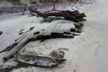 wrack Weststrand Prerow Fischland Darß