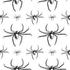 spider seamless pattern isolated on white background