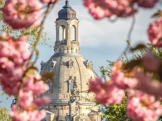 Frauenkirche Dresden im Frühling © Lichtbildmanie