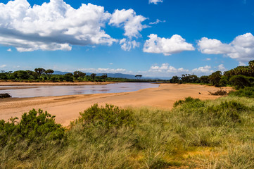 Fototapeta na wymiar View of the Ewaso Ng'iro River in the savannah