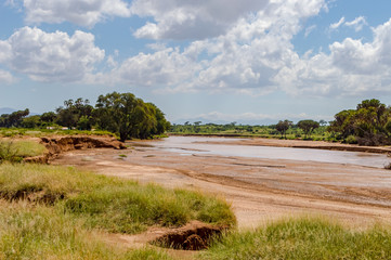 Fototapeta na wymiar View of the Ewaso Ng'iro River in the savannah