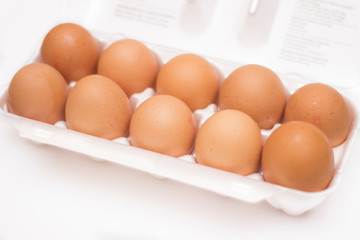 Brown chicken eggs in box on white background