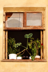 Window of old house