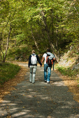 A couple hand in hand walking on a pathway in the middle of a wood