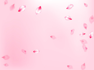 Pink sakura petals confetti flying and falling