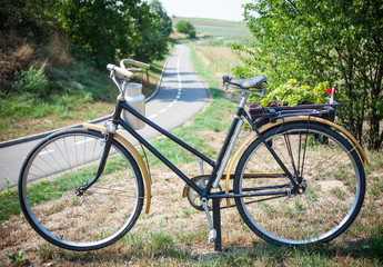 Fototapeta na wymiar Bicycle and Empty Road, Czech Republic