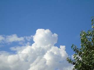 blue sky and white clouds