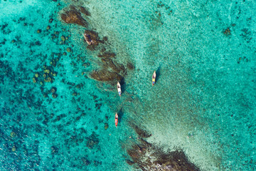 View from above, stunning aerial view of some tourists who do snorkeling in a beautiful, transparent and turquoise sea, Phi Phi Island, Thailand.
