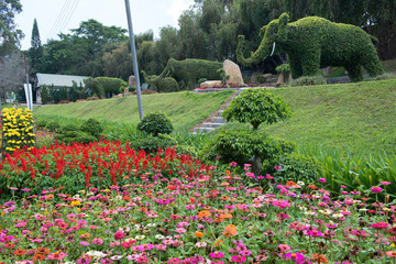 Obraz premium Dalat Flower Garden Park, Vietnam