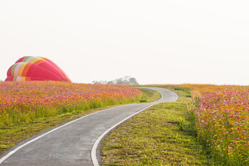 Line the streets with flowers surrounding Cosmos. The balloon being launched