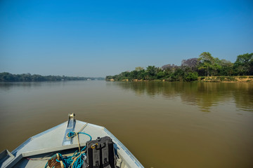 Fototapeta na wymiar River landscape and jungle,Pantanal, Brazil