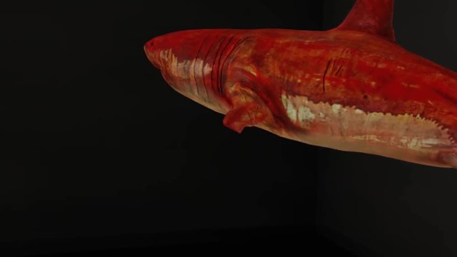 Abstract 3D animation with red shark swimming out of the black painting with a frame. Dangerous shark red hologram appearing from the black wall with picture frame, contemporary art concept.