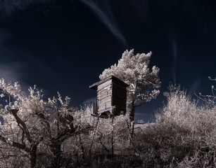 infrared photography - ir photo of landscape with tree under sky with clouds - the art of our world...
