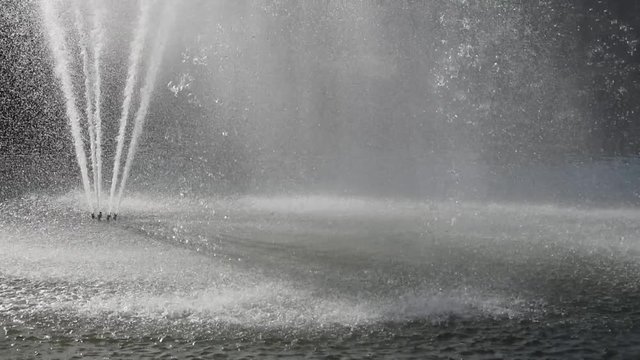 Fountain in the park of Jardin d'Acclimatation in Paris