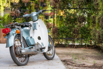 Classic motorcycle parked in the garden