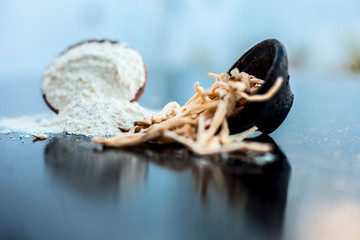 Popular Indian & Asian ayurvedic organic herb musli Safed Moosli/ Shaqaqule/ Dholi Musli/ Khiruva/ Shedheveli/ Swetha Musli/ Taniravi Thang/ in a clay bowl on wooden surface with its powder also.