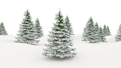 Winter landscape snowy landscape and fir Christmas trees isolated on white background