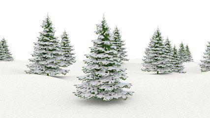 Obraz premium Winter landscape snowy landscape and fir Christmas trees isolated on white background