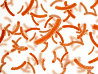 Bacteria cells orange on white background with depth of field