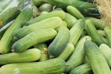 Fresh cucumbers for cooking in the market