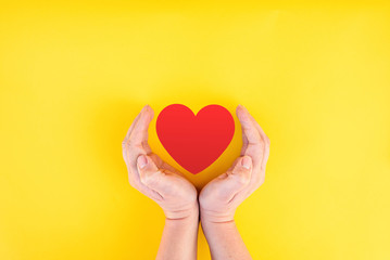 womans hands around heart on isolated background