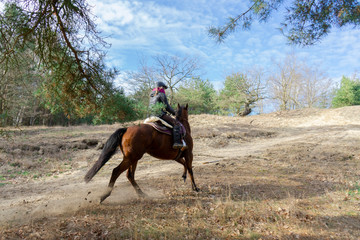 Girl on Horses nature riding western hobby