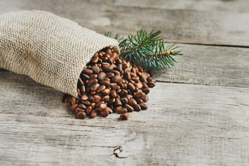 Pine nuts in a bag of burlap on an old vintage background with a fir green branch. In country style.