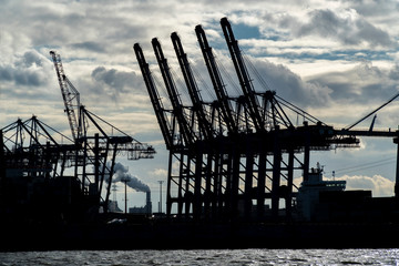 Fototapeta na wymiar Container cranes of port of Hamburg.