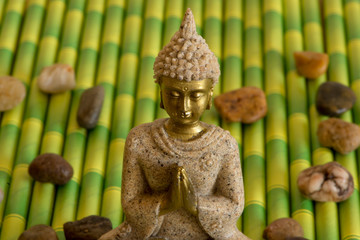 The figure of a Buddha in a meditative position