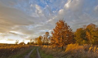 Autumn landscape