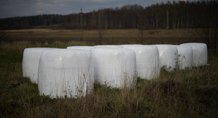 Hey in plastic bag - Finish Agriculture