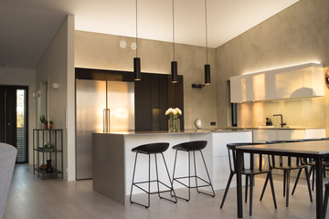 Modern Kitchen Interior