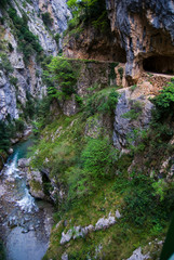Cares Canyon. Picos de Europa National Park, Le—n province, Castilla-Le—n, Spain