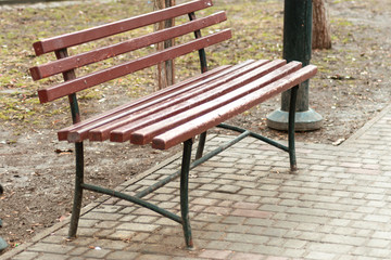 wooden bench in the park