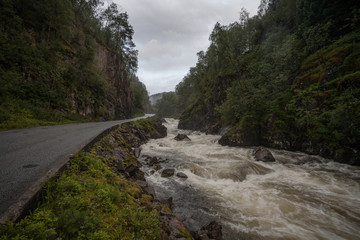 Road and river on the forest mountains