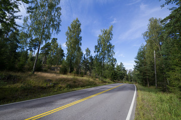 Empty road on the forest mountain