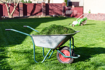 Electric lawn mower on green grass closeup