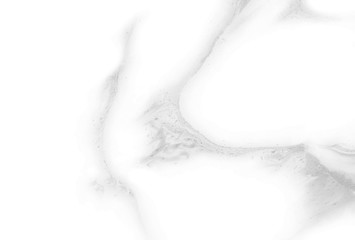 Black and white natural abstract background with beautiful unusual pattern