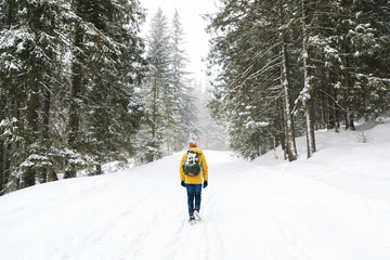 The traveler on the road in forest during the blizzard