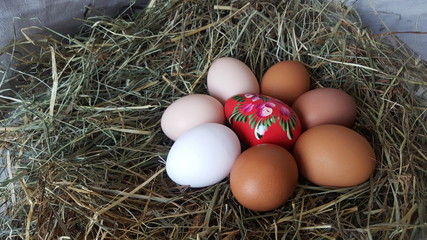 Eggs in hay. Preparation for Easter. Farm lifestyle in the countryside, fresh eggs from the farm in the countryside.