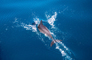 Whitsunday Islands, Australia