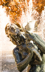Fototapeta na wymiar fountain in mendoza