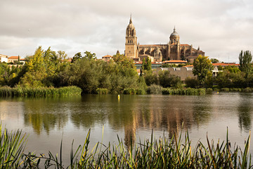 Fototapeta na wymiar Catedral de Salamanca y río Tormes.