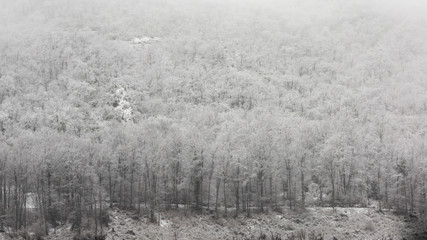 Neige dans la forêt de Saou